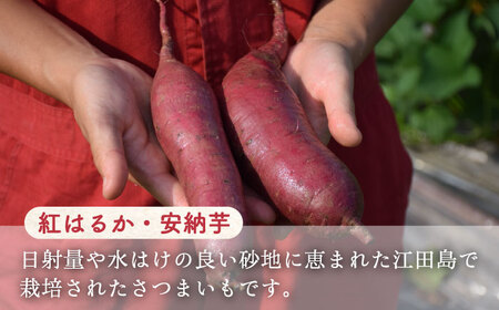 【全6回】焼酎 飲み比べセット各720ml 焼酎[XAD022]