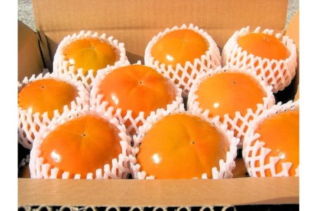 【0148-3】富有柿 5kg (18～24個) 和歌山産≪先行予約2025年10月下旬頃より順次発送分≫