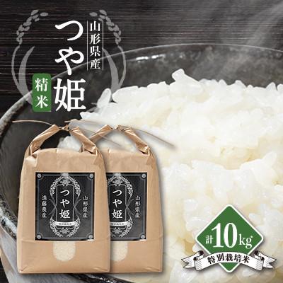 ふるさと納税 川西町 【発送月固定定期便】美味しいつや姫 5kg×2袋が届く!全6回