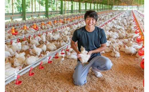 自然の光と風が入る開放型鶏舎で残留農薬の心配のない植物性主体の飼料で育てています。