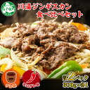 【ふるさと納税】2527. ジンギスカン タレ 辛口タレ 300g 食べ比べ 2種 計2パック 羊肉 焼肉 味付け肉 BBQ バーベキュー お取り寄せ 冷凍 郷土料理 プレゼント 贈り物 gift 送料無料 14000円 北海道 弟子屈町