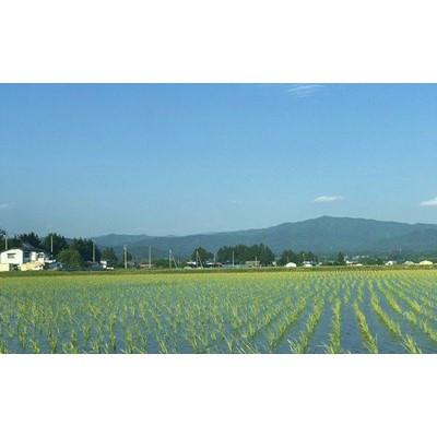 ふるさと納税 紫波町 【令和7年産】岩手県産　銀河のしずく 精米 5kg |  | 03