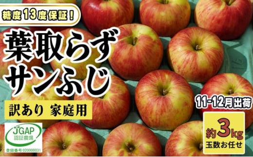 [№5554-0271]11～12月発送【 糖度保証 】家庭用 葉取らず サンふじ 約 3kg【 訳あり 】鶴翔りんごGAP部会 青森県産 津軽産 リンゴ 林檎 果物 フルーツ デザート 甘味 酸味 食感