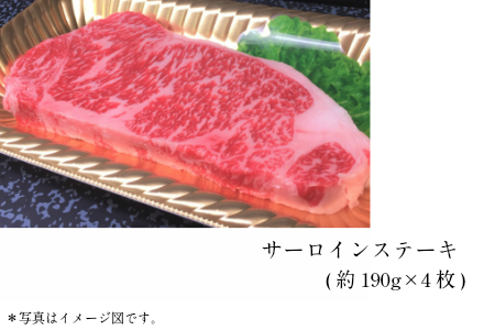 tthn4幻の和牛！土佐あかうし満喫定期便(6ヶ月コース)
