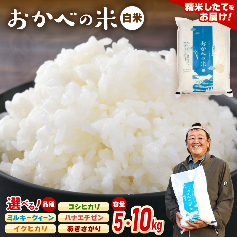 【ふるさと納税】【先行予約】令和7年産 愛情たっぷり 健やかに育った 白米【選べる銘柄：コシヒカリ/ミルキークィーン/ハナエチゼン/イクヒカリ/あきさかり】【選べる内容量：5kg/10kg】【2025年9月上旬以降順次発送予定】