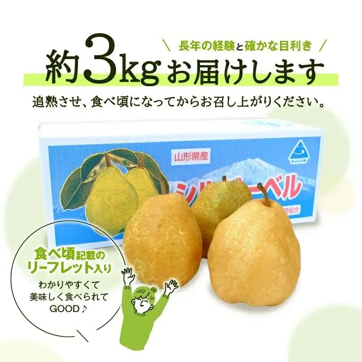 SA3038　 酒田産【特選】 洋梨 シルバーベル　約3kg(玉数おまかせ)