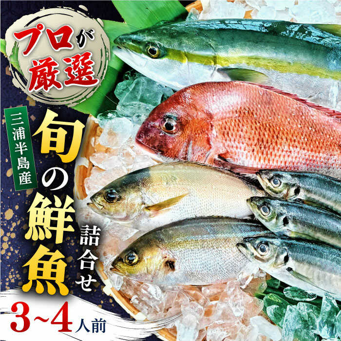 【ふるさと納税】魚 旬のおまかせ 鮮魚 厳選詰め合わせセット 3〜4人前(2〜3魚種) 新鮮 さかな お魚 水産物 食べ比べ 季節 旬 横須賀 【長井水産株式会社】[AKAJ002]