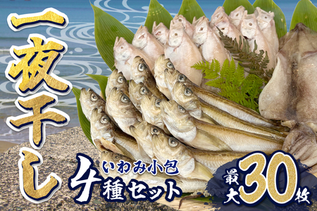 【24001】いわみ小包（海）＜海産物一夜干し＞