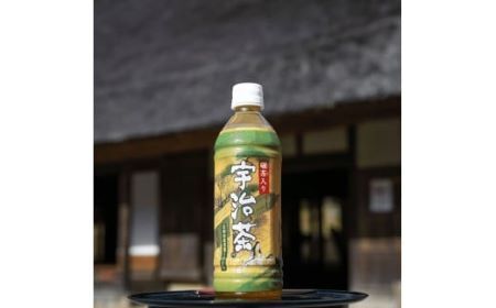 【碾茶入り】 宇治茶 ペットボトル 500ml×24本