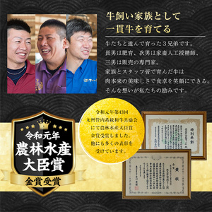 《定期便・毎月全6回》宮路ファームの黒毛和牛切り落とし(300g×2パック) 鹿児島県産 切り落とし 牛肉 すき焼き パック詰め 肉じゃが 牛丼 野菜炒め 農林水産大臣賞 肉 しゃぶしゃぶ 国産黒毛和