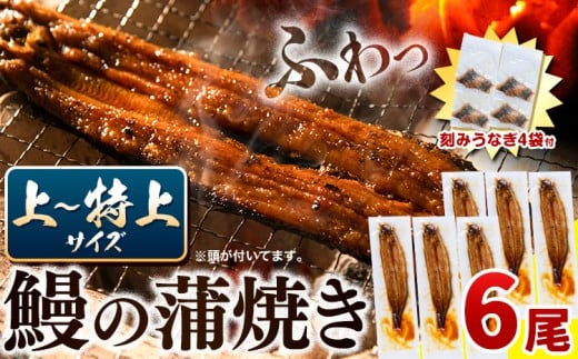 うなぎ 国産〈12/21までのご寄附で年内配送！〉 鰻の蒲焼 6尾 ＋ きざみうなぎ 30g×4袋 上～特上サイズ《3-7営業日以内に出荷(土日祝除く)》| うなぎ 蒲焼 国産 うなぎ 小分け うなぎ 国産 うなぎ 父の日 うなぎ 母の日ギフト うなぎ 簡易包装 送料無料 徳島県 上板町
