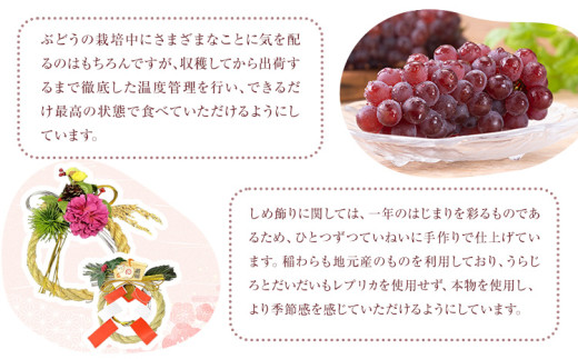 【先行予約】しめ飾り モダンつばき・ダリア×モダンダリア 有限会社なかむら農園《12月中旬-下旬頃出荷》大阪府 羽曳野市 送料無料 正月飾り リース しめ縄 オシャレ モダン