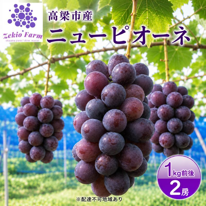 ニュー ピオーネ 1kg前後 2房 葡萄 フルーツ 岡山 高梁市産 ぜきお農園 ぶどうclub 2026年 先行予約 果物 