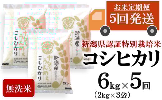 【先行予約・令和7年産新米・5ヶ月定期便】コシヒカリ 無洗米 6kg（2kg×3袋）×5回（計 30kg）ヤタらうんめぇお米 水田環境鑑定士在籍[Y0509]