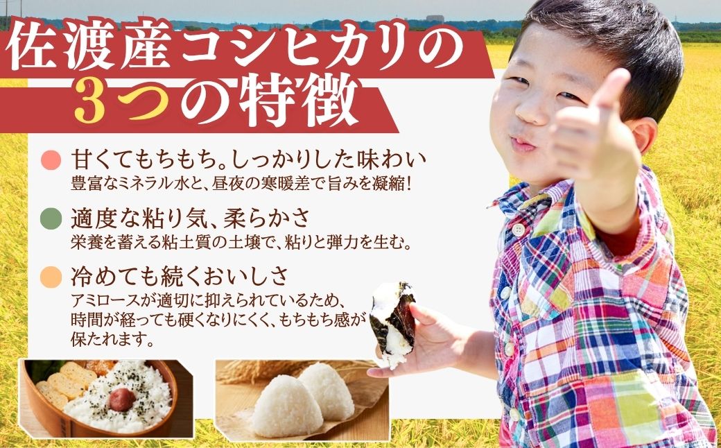 【先行予約・限定】令和8年産　特別栽培米　佐渡産コシヒカリ　農家直送　朱鷺も棲む　北見農園自慢の逸品　定期便（精米5kg)