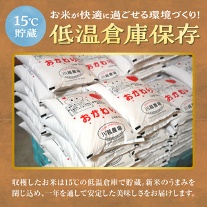 【定期便全6回】令和6年産 川越さんちの おぼろづき　10kg（5kg×2袋）毎月1回お届け 雨竜産 おぼろづき 精米 定期便 10kg お米 おにぎり お弁当 お取り寄せ 北海道 雨竜町