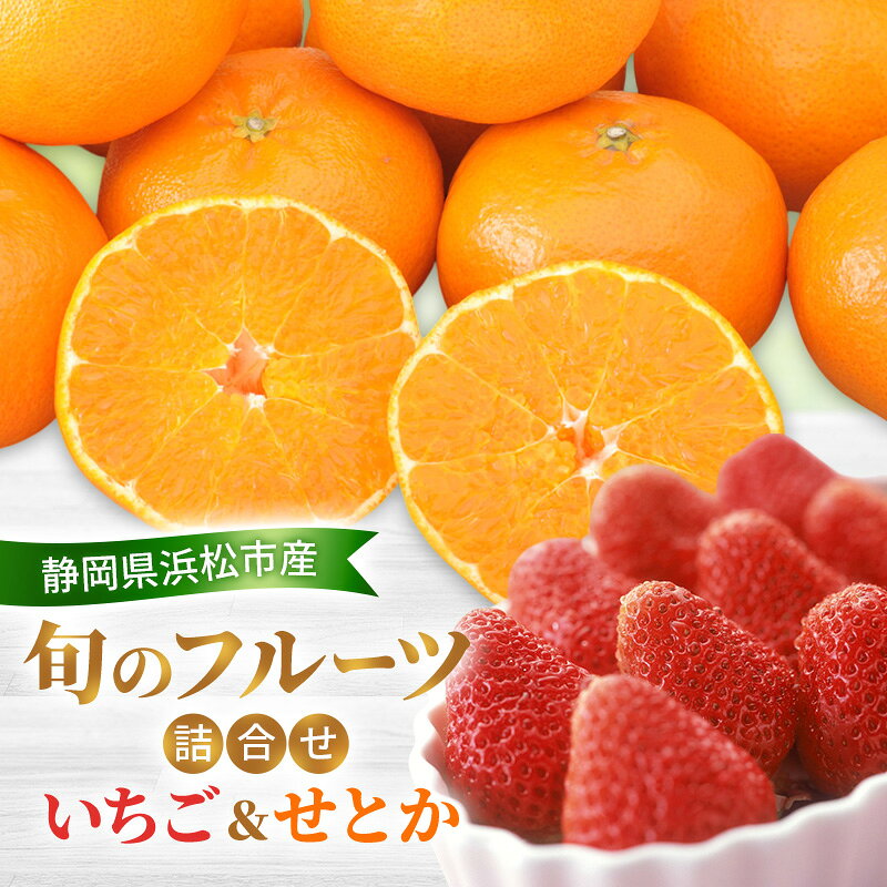 【ふるさと納税】【2026年2月発送】 旬のフルーツ詰合せ いちご＆せとか 紅ほっぺまたはきらび香 約260g1パック せとか4個約800g 柑橘の最高峰 苺 ミカン 蜜柑 【配送不可：離島】 フルーツセット 静岡 浜松市　お届け：2026年2月11日～2月28日まで