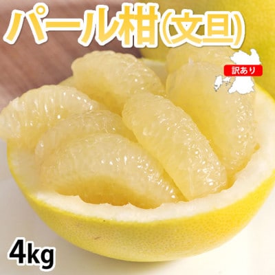 訳ありパール柑 4kg【2026年2月上旬から2026年4月下旬発送予定】(宇城市)【1640757】