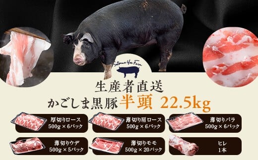 
KSR-306 かごしま黒豚半頭 約22.5kg 生産者直送 薩摩八重ファーム 工房みかく亭
