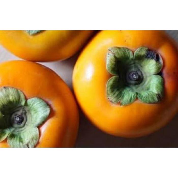 【ふるさと納税】【特選品】岐阜県大野町産 富有柿 2L 12個入り【2026年11月下旬～発送】