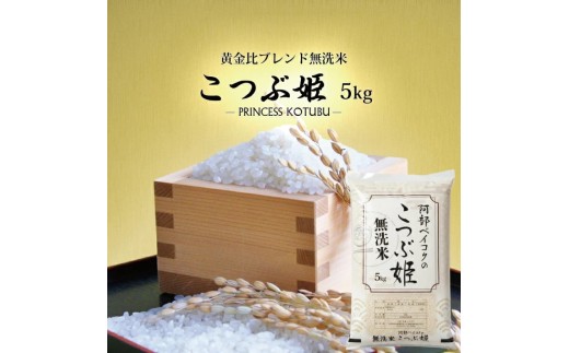 無洗米 こつぶ姫 5kg　9月上旬