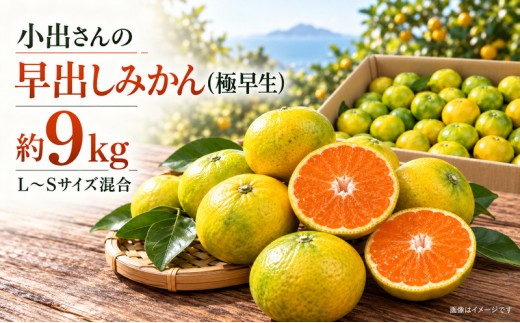 
                  みかん 極早生 早出し 香川県産 国産 約9kg L〜Sサイズ混合 小出さん 有機質肥料 農薬を控えて栽培 ノーワックス 濃厚 旨味 柑橘 ミカン 蜜柑 フルーツ 果物 くだもの 果物類 デザート おやつ 大野原町 五色青果 香川県 観音寺市
                