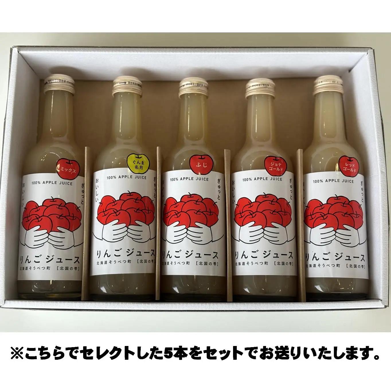 ＜2026年1月下旬よりお届け＞りんごジュース「北国の雫」(壮瞥町産りんご100%) 300ml×5本 SBTA082