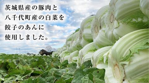 【国産素材】生産量日本一！八千代町の白菜を使った ジューシー白菜餃子 50個（冷凍）ぎょうざ 冷凍餃子 惣菜 中華 点心 お取り寄せ ギョーザ ギョウザ 小分け おつまみ [BN005ya]