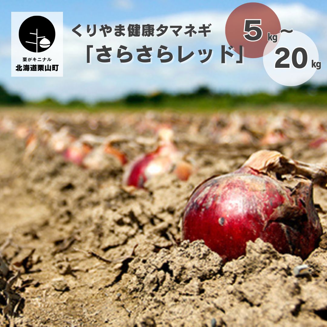 【ふるさと納税】北海道 くりやま健康タマネギ「さらさらレッド」《5kg・10kg・20kg》
