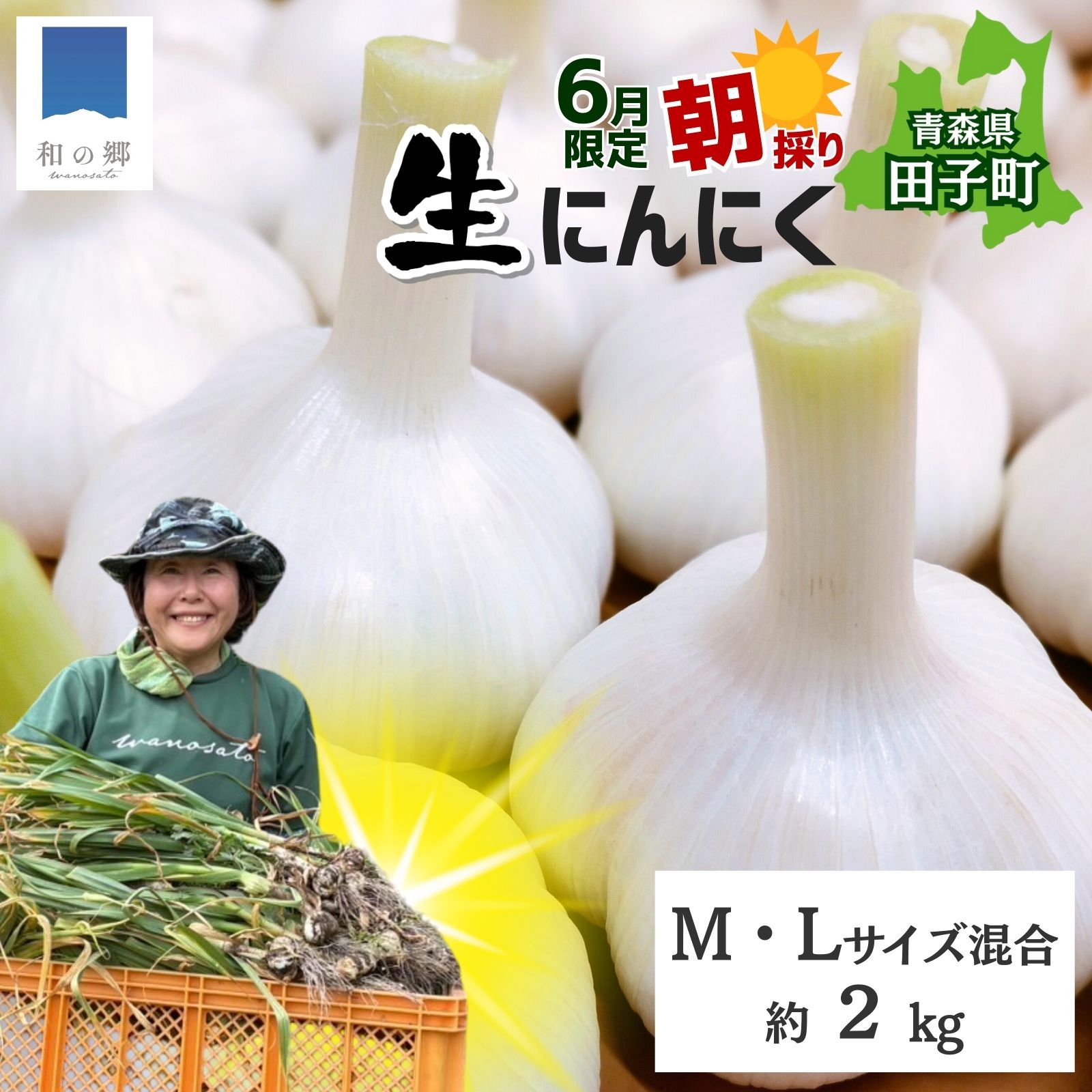 【ふるさと納税】令和8年産朝採り直送！田子（たっこ）生にんにく約2kg（青森県田子町産にんにくM〜Lサイズ混合）　 薬味 ハーブ トップブランド 貴重 掘りたて 幻の味 新鮮 甘さ 濃い味 季節限定 　出荷開始：6月20日〜6月30日