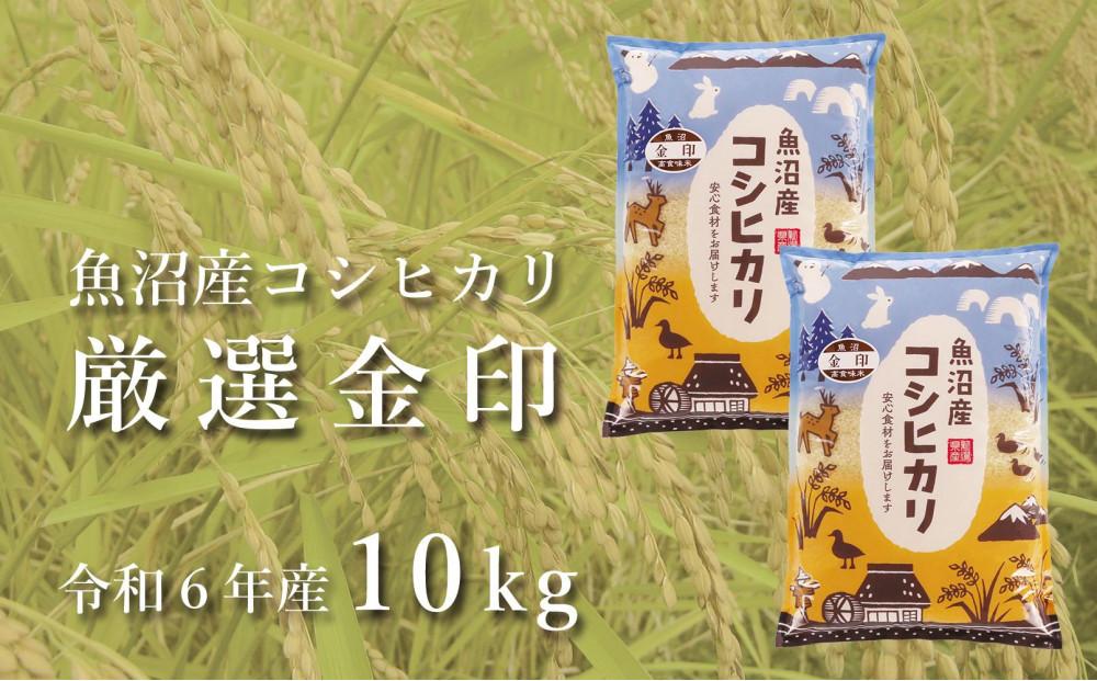 ＜令和6年産＞魚沼産コシヒカリ「金印」高食味米 10kg