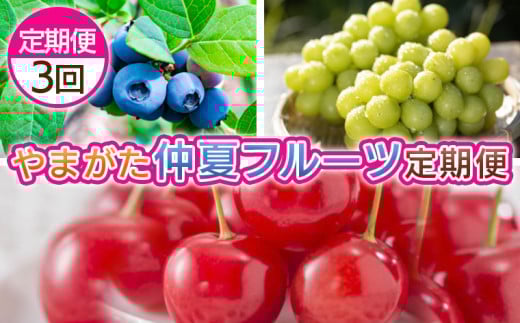 【定期便3回】やまがた　仲夏フルーツ定期便 FY25-049