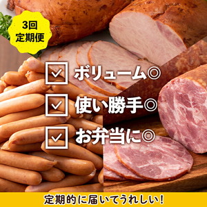＜定期便・計3回(連続月)＞ ナンチク 加工品 セット ( Newポークウインナー / 焼き豚 / サラダハム ) 【ナンチク】i1205-A