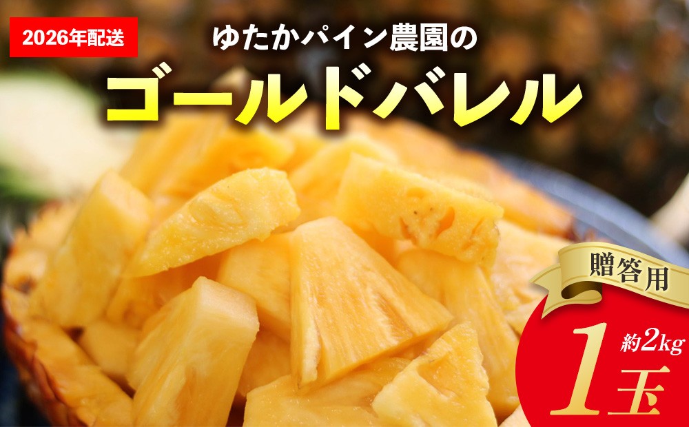
            ゆたかパイン農園のゴールドバレル　1玉（贈答用）約2kg 2026年発送 沖縄県産 東村 パイナップル ジューシー 希少 高級フルーツ 南国フルーツ 国産フルーツ 農家直送 パイン 贈答用 贈り物 おすすめ お土産 人気 やんばる 大自然 南国気分 沖縄本島北部
          