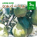 【ふるさと納税】西洋梨（シルバーベル）5kg 8〜10玉 ご家庭用 山形県 上山市 0042-2417