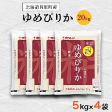 【発送月固定定期便】特Aランク連続獲得　北海道月形町ゆめぴりか(精米)20kg 全6回