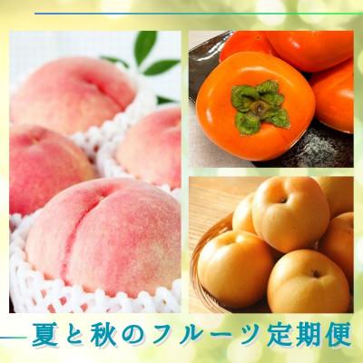 ふるさと納税 北山村 【発送月固定定期便】夏と秋のフルーツ定期便 (桃・梨・ひらたねなし柿) 【tkb372】全3回