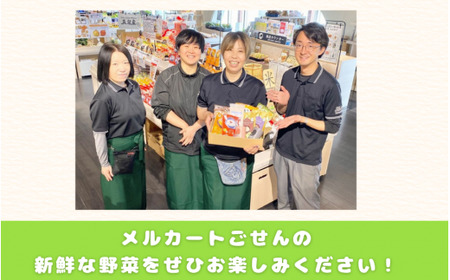 【令和7年産先行予約】旬の野菜 にんにく 約1kg～1.5kg [2025年6月以降順次発送] 新潟県 五泉市 まるっと五泉プロジェクトFunSpace株式会社