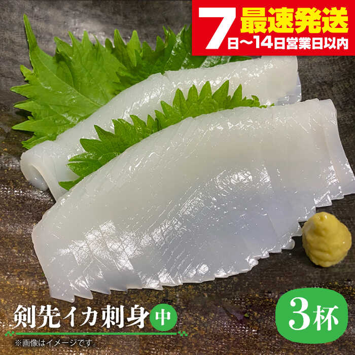 【ふるさと納税】剣先イカ 刺身（中）3杯《壱岐市》【株式会社マルショウ】[JEW003] いか イカ 剣先いか セット おつまみ 新鮮 海鮮丼 刺し身 冷凍配送