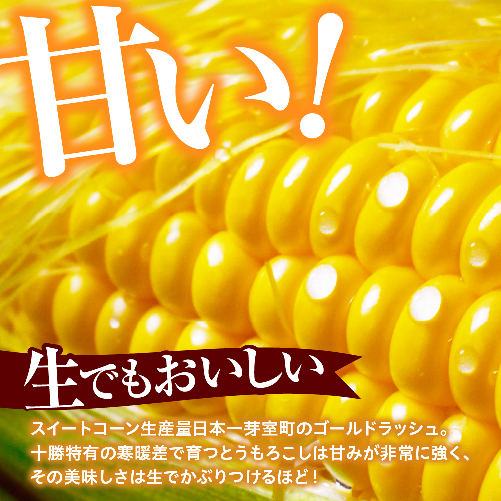 【先行受付】【2026年8月上旬～8月下旬頃配送】北海道十勝芽室町 とうもろこし ゴールドラッシュ 2Lサイズ 20本セット me078-010c-26