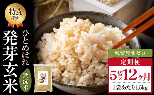 特A ひとめぼれ 米 残留農薬ゼロ 発芽玄米 1.5kg × 5袋 12ヶ月 毎月定期便 無洗米 令和7年度産 玄米 こめ コメ お米 ヒトメボレ ご飯 ライス 大分県 大分 玖珠町 玖珠