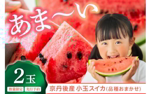 【先行予約】朝どれ小玉スイカ／みんな大好き！甘～ぃ！シャリ美味！！京丹後産 小玉スイカ！！2玉（ひとりじめ、姫甘泉、ひめまくら、砂丘たまごから1種類）（2026年7月上旬～発送）スイカ2玉　YK00533