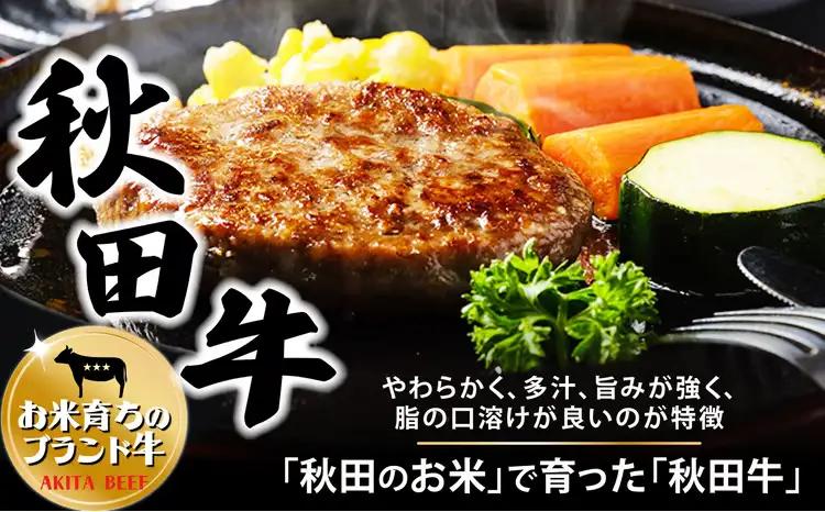 秋田牛ハンバーグ 360g（120g×3個）60P2603【東日本物産 】