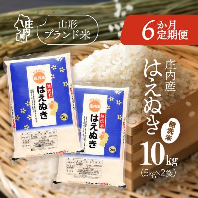 ふるさと納税 庄内町 【6か月定期便】庄内米 はえぬき 無洗米 10kg<5月中旬発送>ブランド米 米 お米の定期便