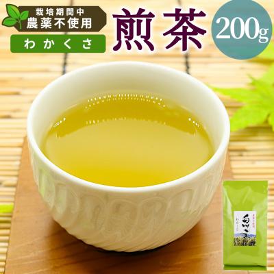 ふるさと納税 東白川村 栽培期間中 農薬不使用! 煎茶 わかくさ 200g 常磐園 日本茶 緑茶 煎茶