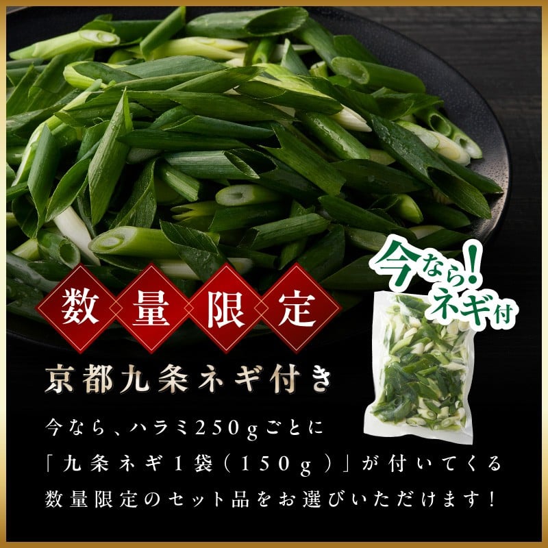 今だけ数量限定！九条ネギ付き！貴重！肉汁溢れる 国産牛ハラミ 500g
