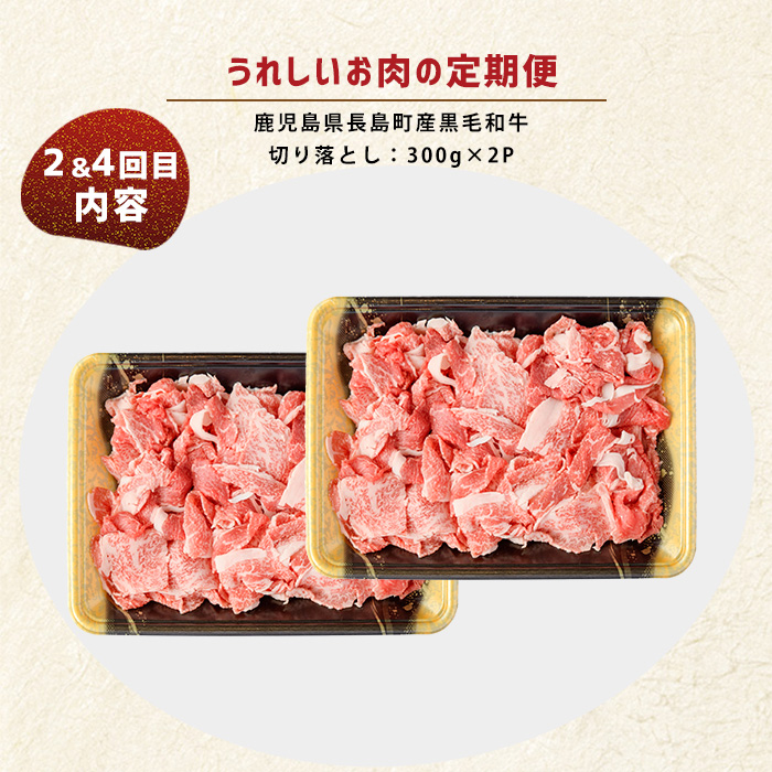＜定期便・毎月発送全4回＞ うれしいお肉の定期便 鹿児島県産 豚肉 切り落とし (計4kg・500g×8P) 黒毛和牛 切り落とし (計600g・300g×2P) 【コワダヤ】【宮路ファーム】_nag