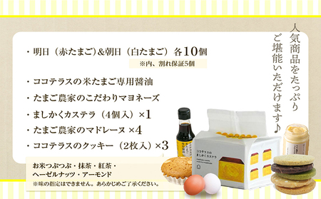 ココテラスの新鮮な卵とお菓子の堪能セット カステラ マドレーヌ クッキー マヨネーズ 醤油 たまご専用醤油 調味料 料理 赤卵 白卵 タマゴ 卵 鶏卵 焼き菓子 洋菓子 グルメ スイーツ お取り寄せ 