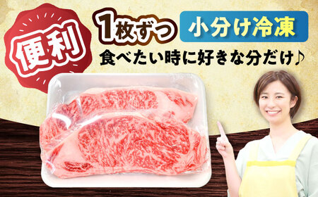 瀬戸山麓牛 ロースステーキ 400g ステーキ [BBBQ030]