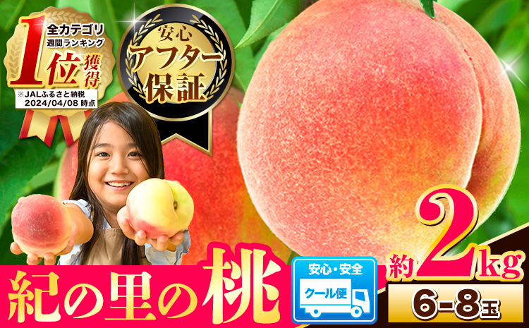 【先行予約】桃 もも 紀の里の桃 約2kg 《2026年6月中旬-8月中旬頃出荷》 和歌山県産 送料無料 6〜8玉入り 旬の桃を厳選  あかつき モモ 果物 フルーツ お取り寄せ 予約 和歌山 肉厚 白鳳 日川白鳳 八旗白鳳 清水白桃 川中島白桃 つきあかり なつおとめ 人気 ランキング